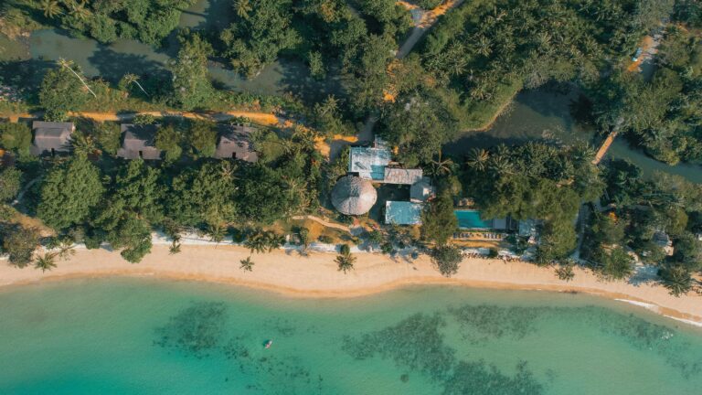 pexels-archie-mcnicol-559645417-16948678